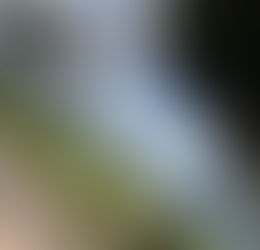 沖縄観光シーズン突入☀️