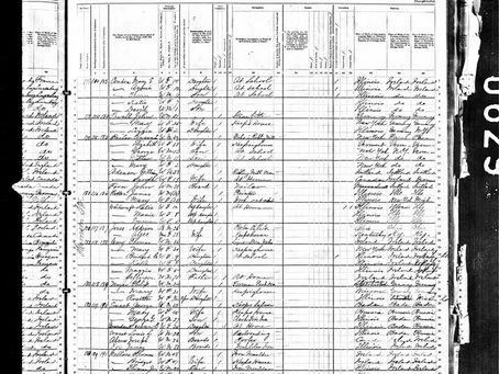 1880 U.S. Census page from Illinois listing individuals' names, ages, occupations, and birthplaces, with handwritten entries on lined paper.