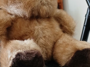 Genealogy Walks: Antique Edition — The Picadilly Bear