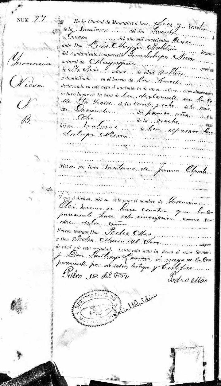 Handwritten document, illegible text, Budget Genealogy