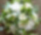 PO4 Small Posy with Roses and Hydrangea Country Style_edited_edited.jpg