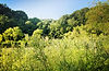 iStock-1251144900_edited.jpg