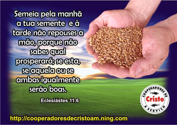 semente.