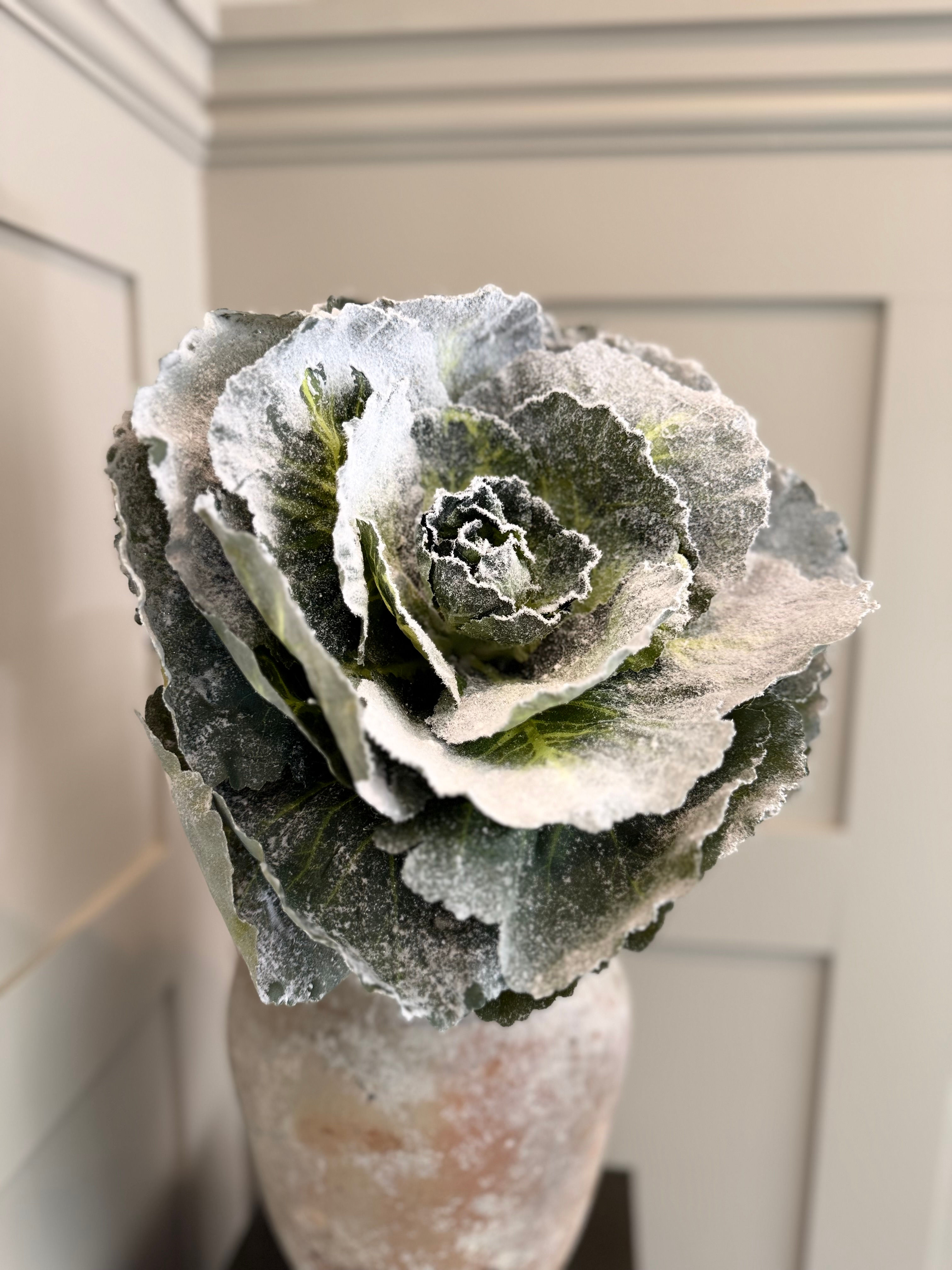 Glitter Real Feel Cabbage