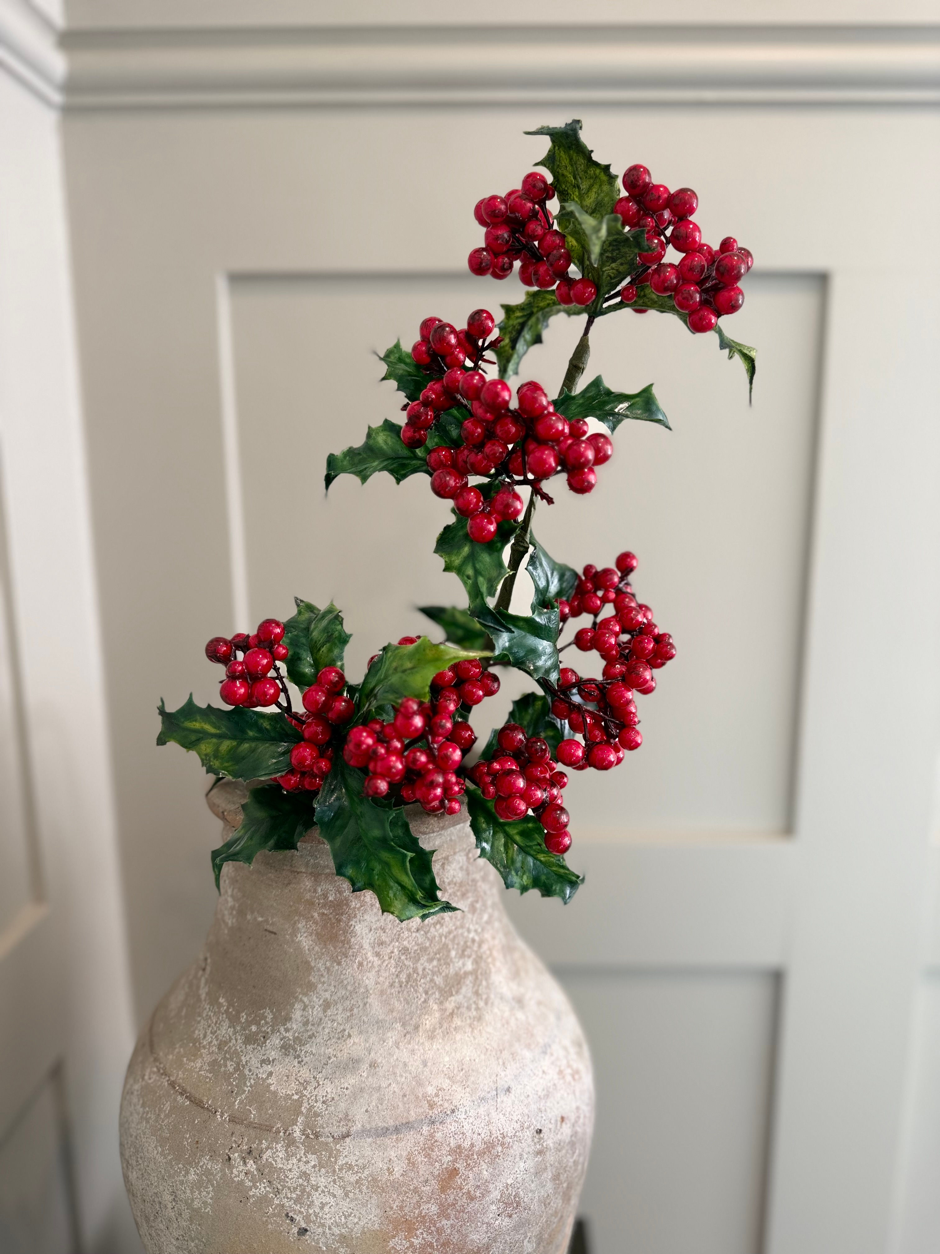 HOLLY AND IVY STEM