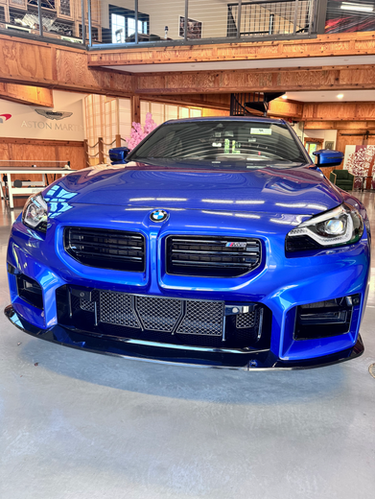 BMW M2 G87 Front Radiator Grille Mesh Protection (2023+)
