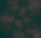 BG.jpg