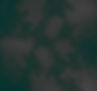 BG.jpg