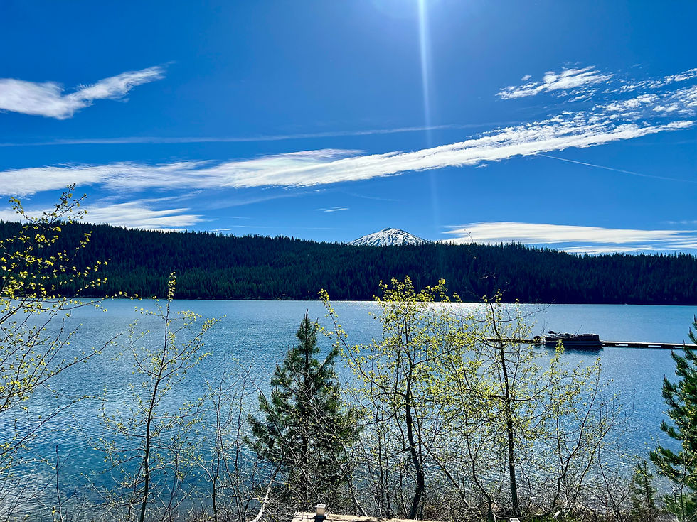 Elk Lake Quagga Observation