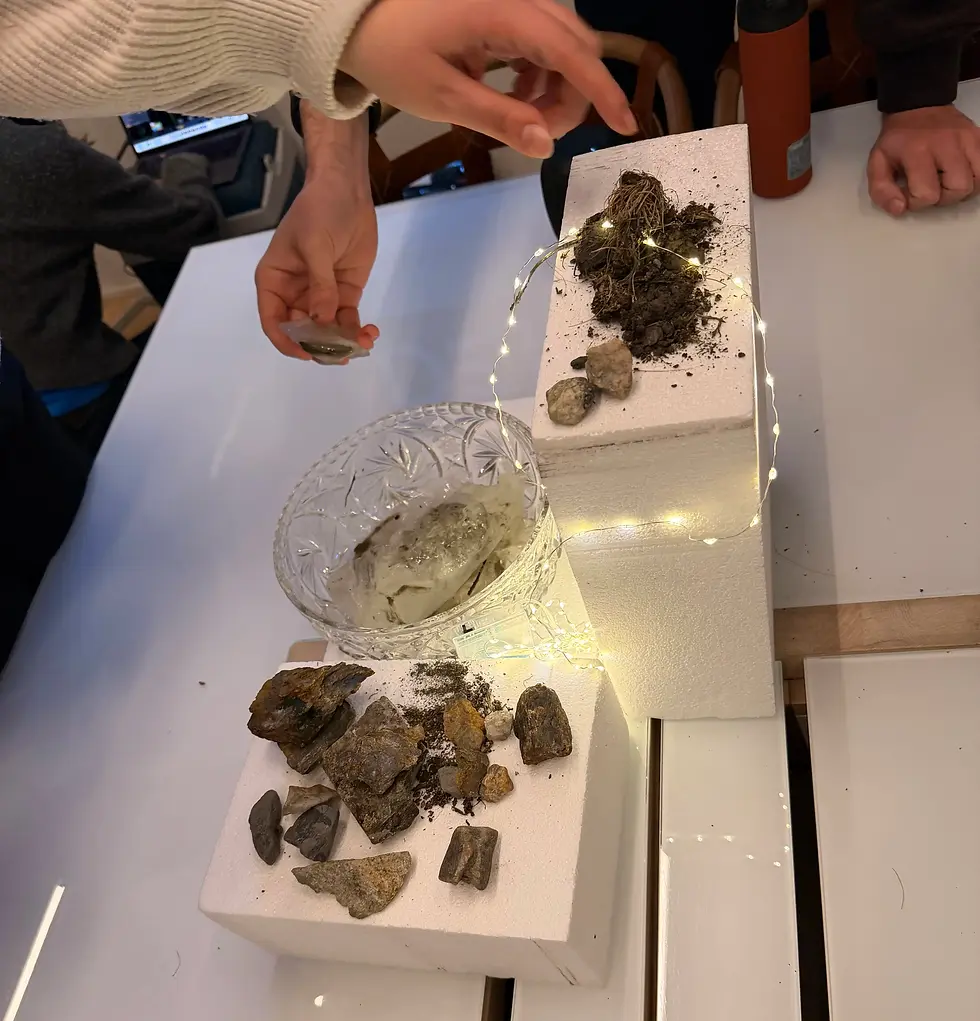 Møtet med naturmaterial frå Hardangerjøkulen under SDG-konferansen