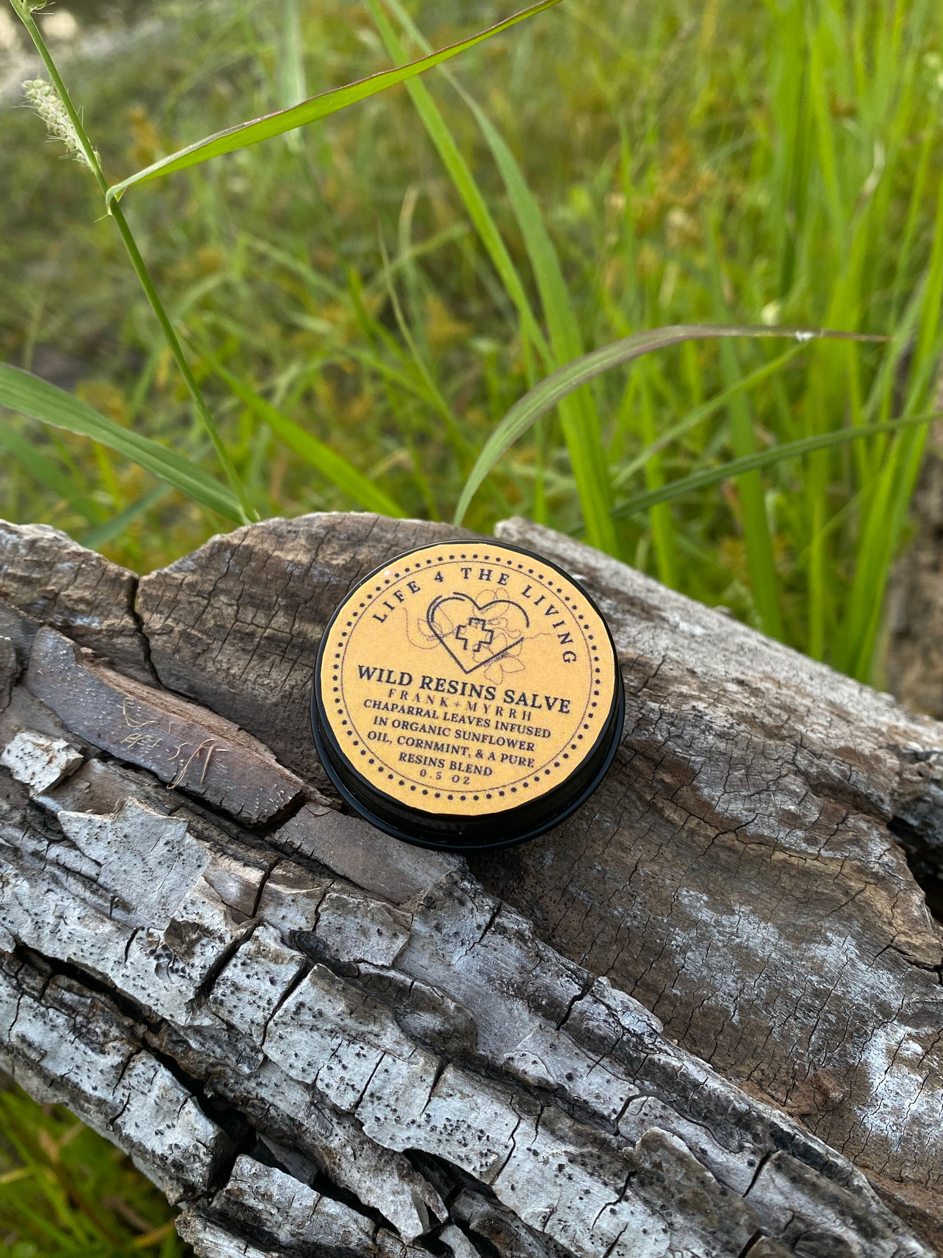 Wild resins salve