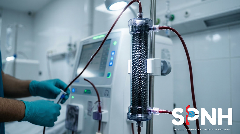 Hemoadsorción en hemodiálisis crónica: ¿Una herramienta para el prurito urémico y la calidad de vida?