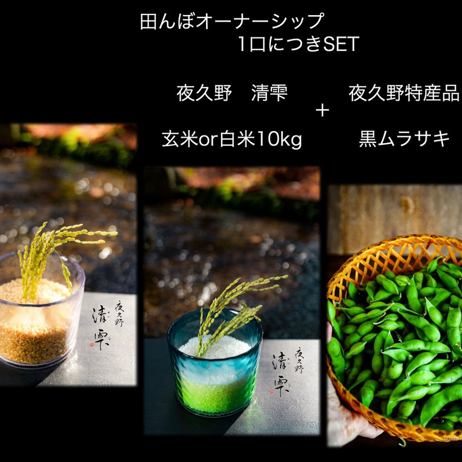 田んぼオーナーシップ　田んぼオーナー　美味しいお米