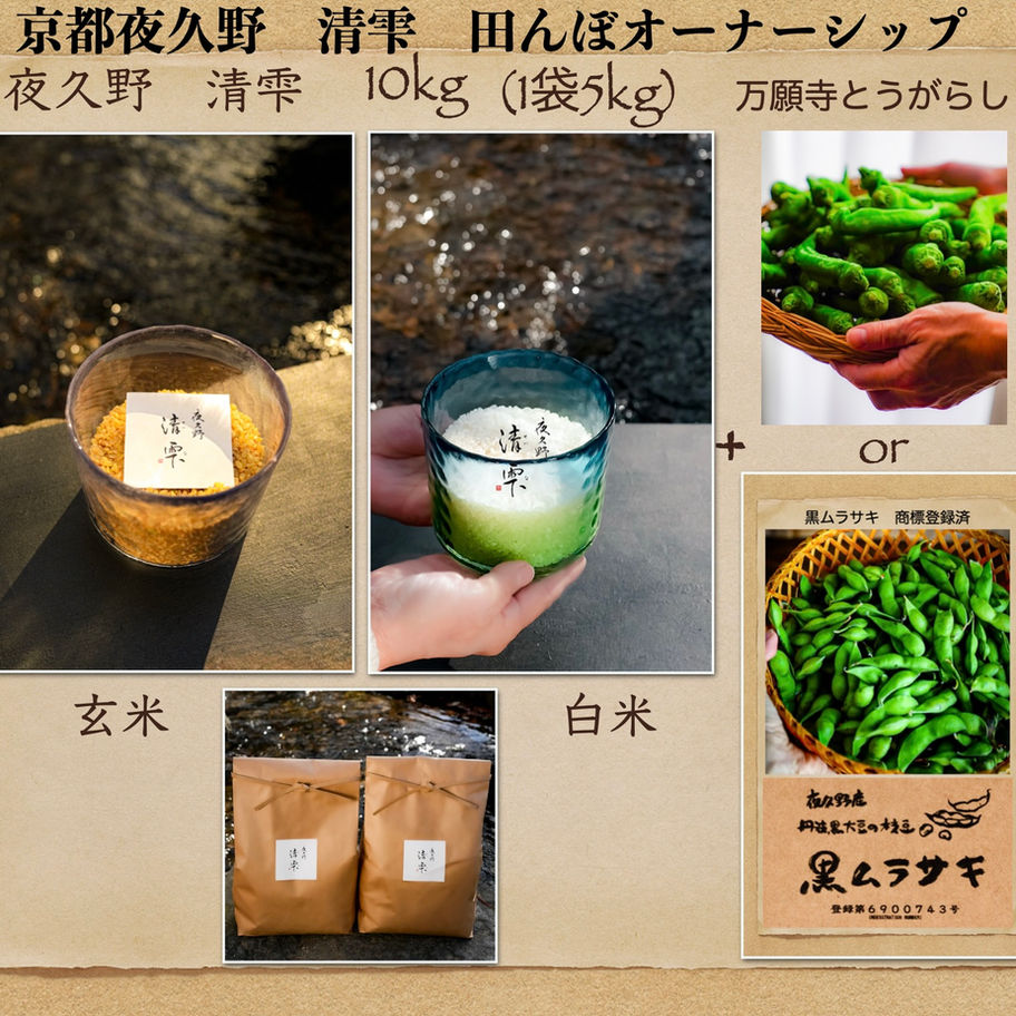 田んぼオーナーシップ 田んぼオーナー 美味しいお米