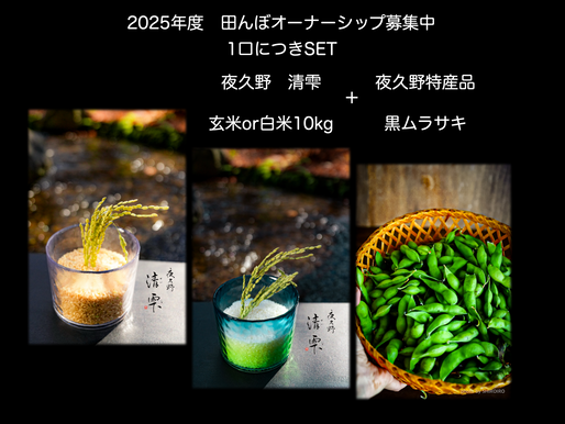 田んぼオーナーシップ　田んぼオーナー