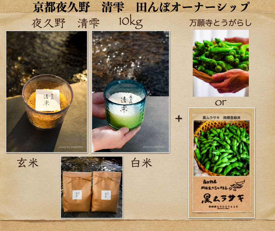 田んぼオーナーシップ 田んぼオーナー 美味しいお米