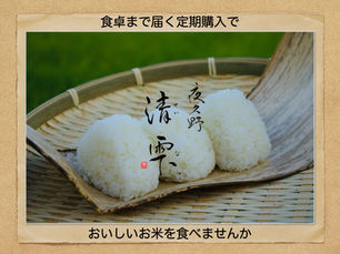 定期購入のメリット　おいしいお米　夜久野清雫　コシヒカリ