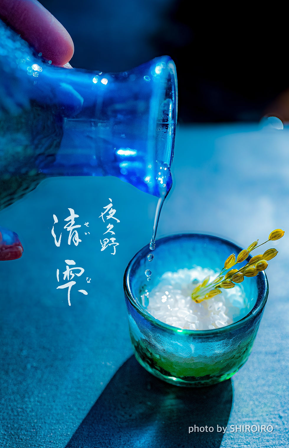 京都夜久野　清雫　コシヒカリ　美味しいお米