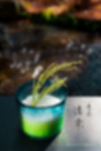 京都　夜久野　清雫　コシヒカリ　美味しいお米