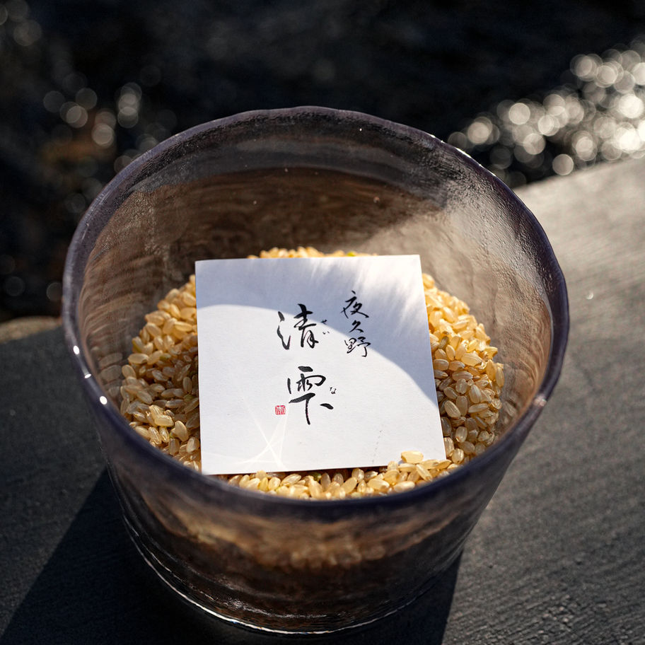 夜久野清雫　コシヒカリ