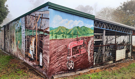 Shed artwork