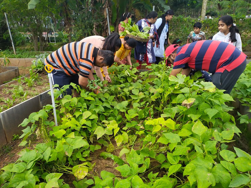 akshayakalpa farm