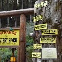 mystery spot.jpeg