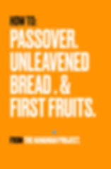 “Digital download ”: Passover Unleavened bread & First fruits