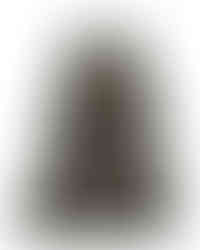 Fluffy-Black-Cat.jpg