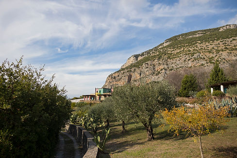 109.jpg