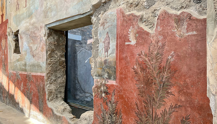 A Day in the Life of Pompeii