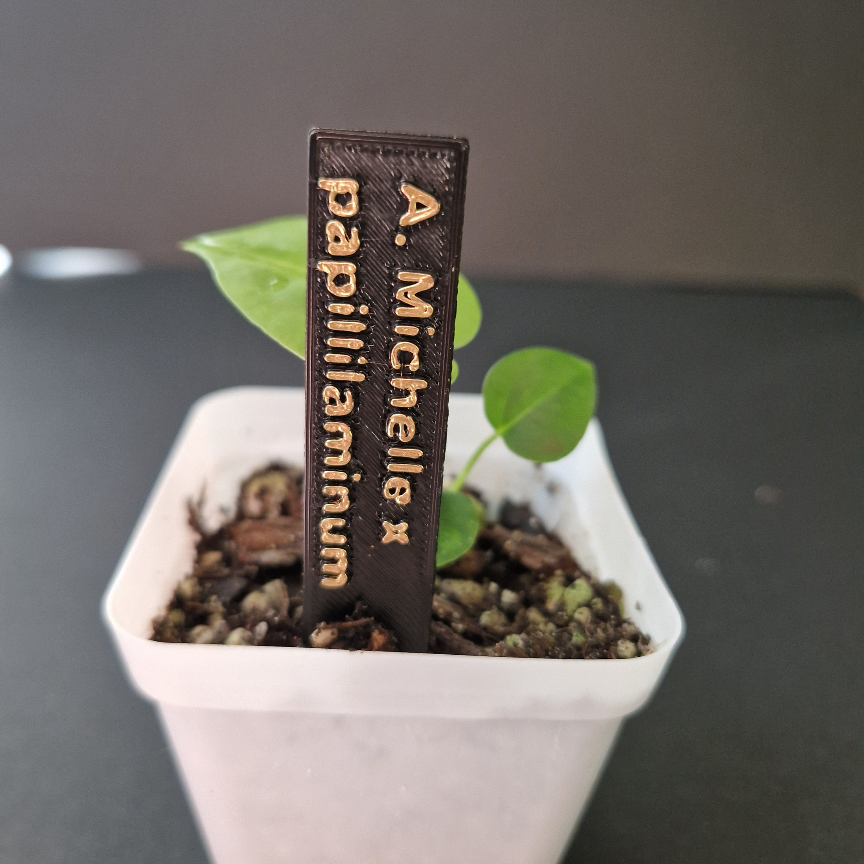Individuelles Pflanzenetikett 3D gedruckt