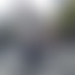 FRANCISCO EN FRANCIA: EL ORIGEN DE CADA PIEZA