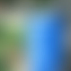 Install a Rain Barrel and Help to Preserve the Metedeconk River 