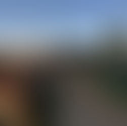 Shakespeare Festival Delights at the Shore