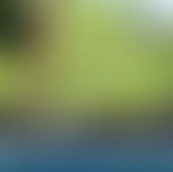 The Root of Your Garden