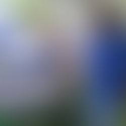 Bring in the Barbeque Specialists