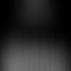 O Surgimento do Movimento Global Black Lives Matter Três Mulheres Transformam uma Hashtag em Mudança