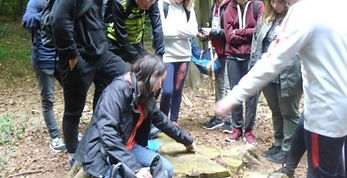 Animations arbre et bois, lycée.