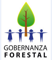 CODECHOCÓ, AVANZAN EN EL DESARROLLO DE ACCIONES Y ESTRATEGIAS PARA EL FORTALECIMIENTO DE LA GOBERNAN