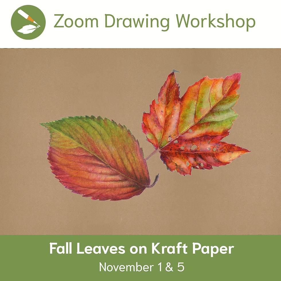 zoom__144_fall_leaves_on_kraft.png