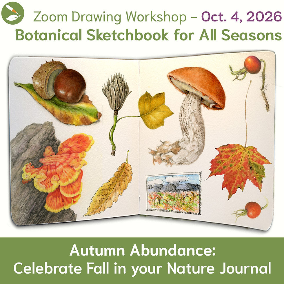 Zoom Workshop: Fall Sketchbook Class 2026