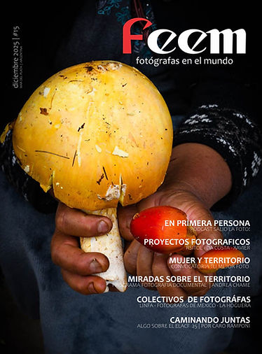 FEEM #15.jpg