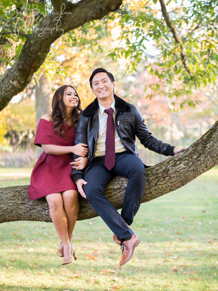 Niagara Engagement Photography