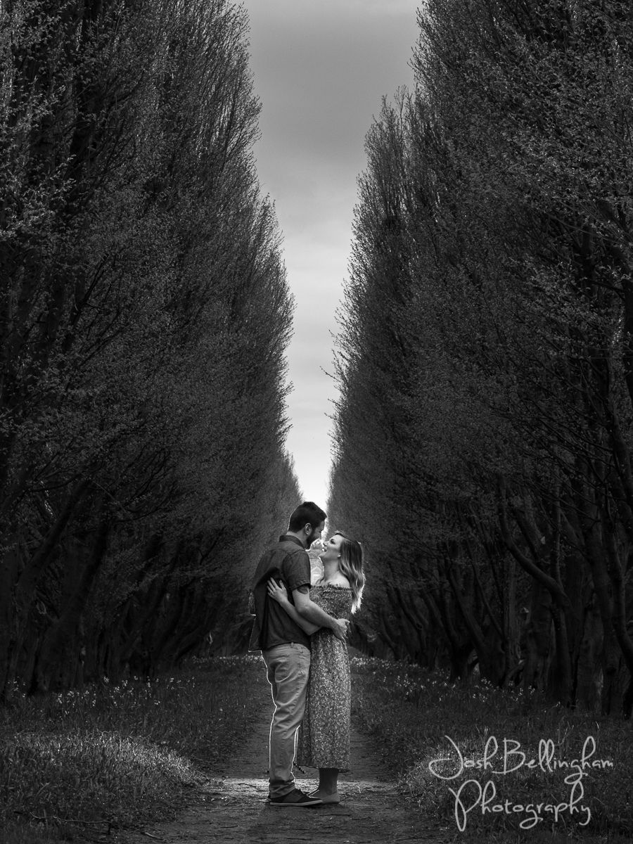 Niagara Botanical Gardens Engagement