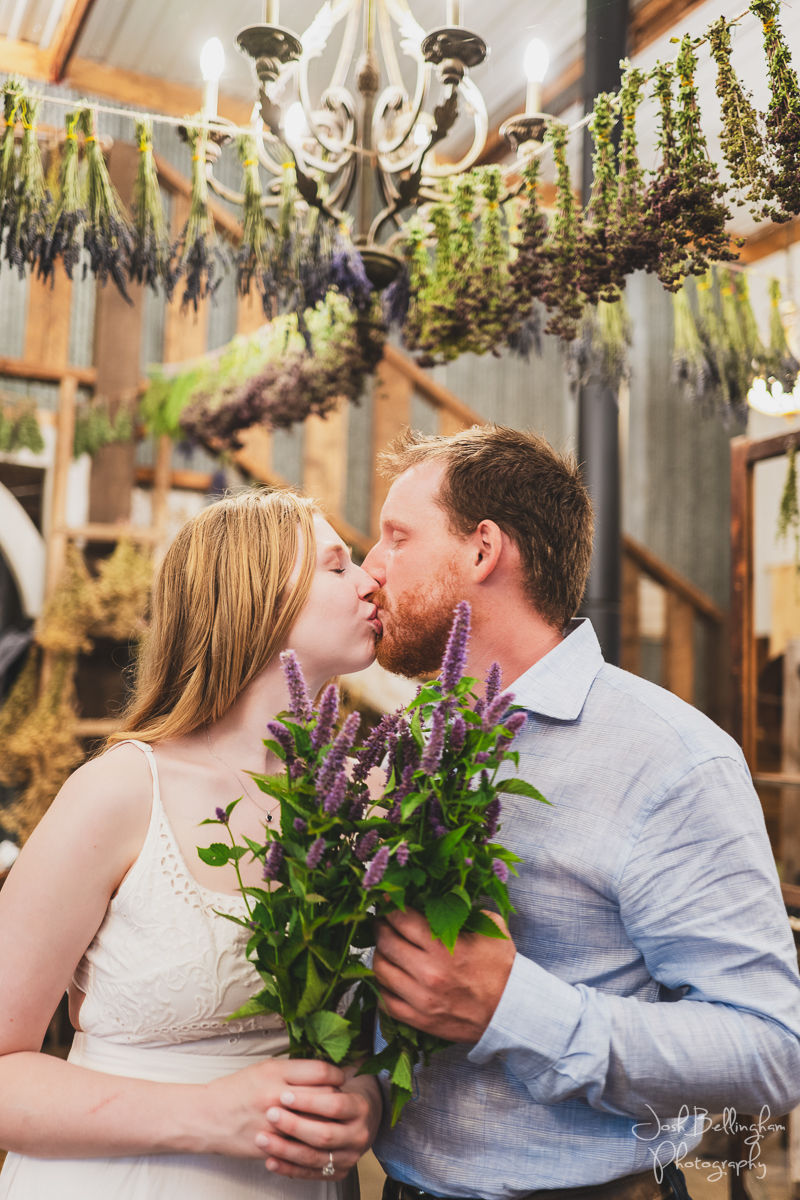 Niagara Lavender Farm Engagement Session