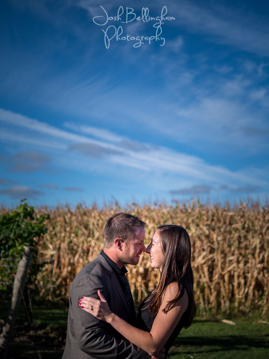 Winery Engagement Photos Niagara