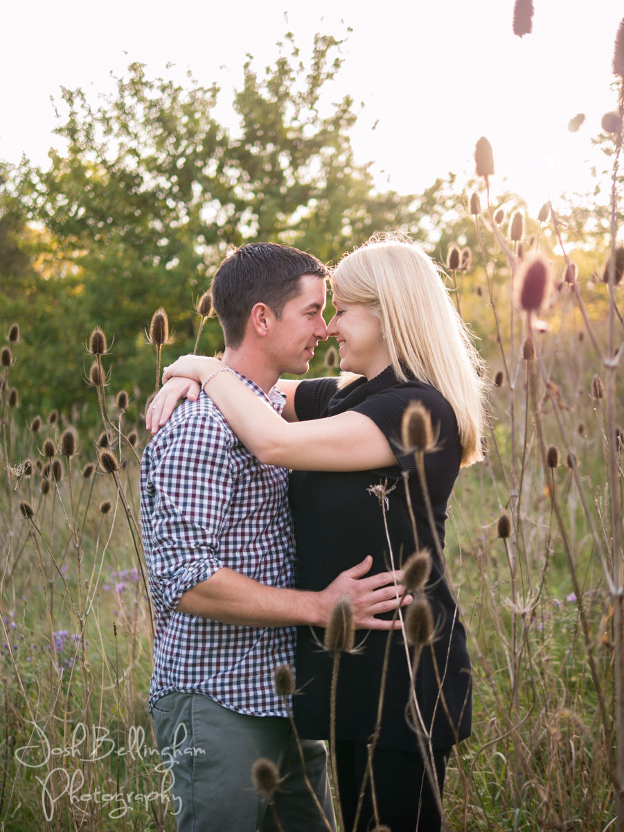 Niagara Engagement Photography