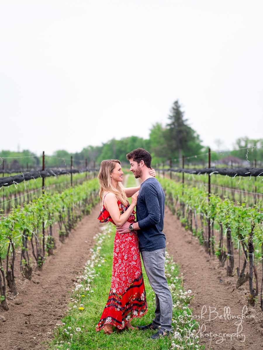 Niagara Vineyard Engagement