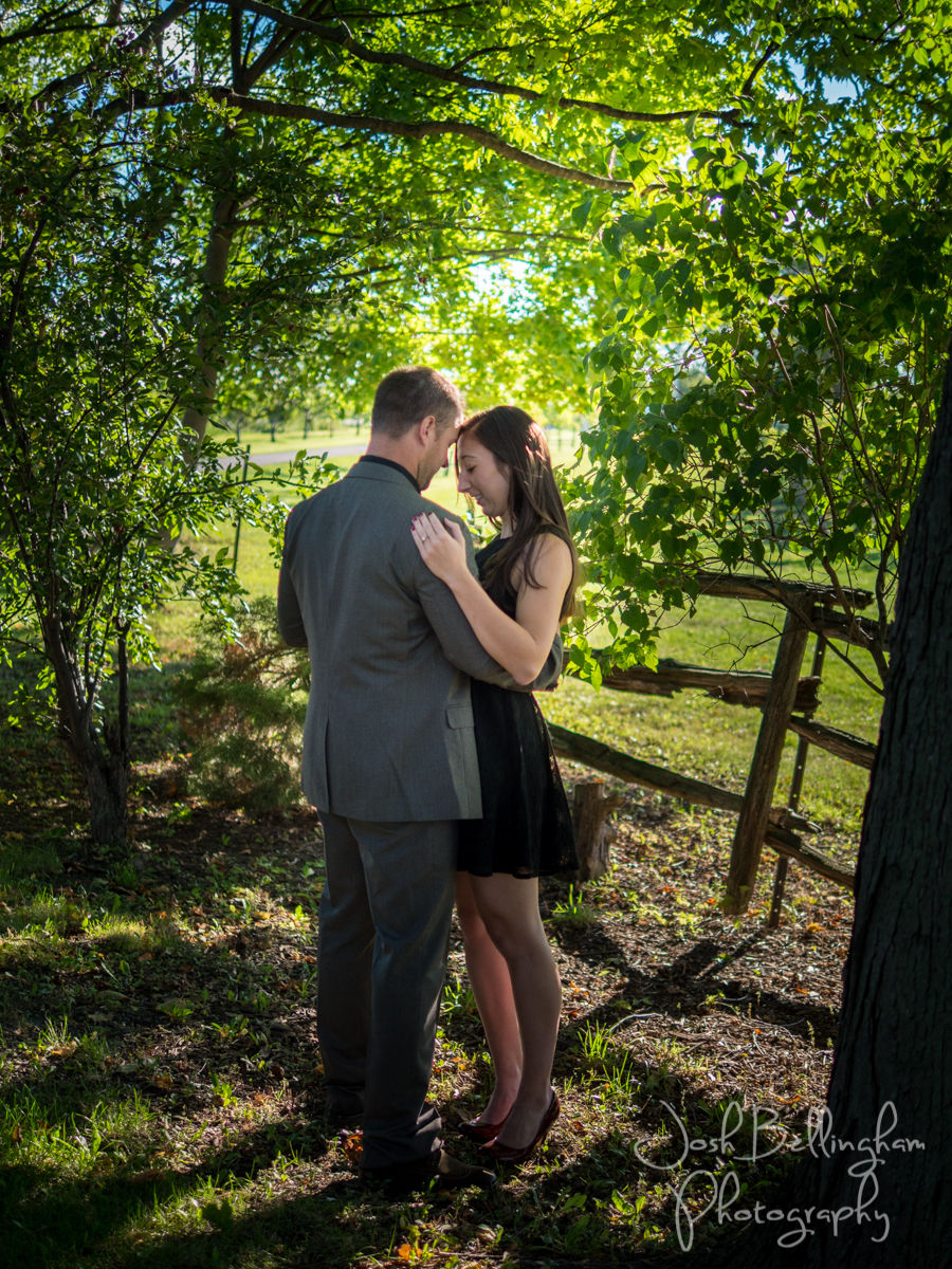 Winery Engagement Photos Niagara